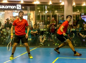 26038536300_8c7615aeff_z