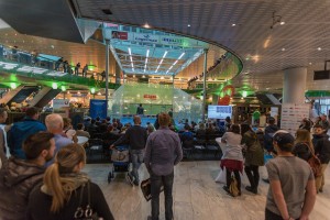 26244328331_dbd28e9ace_z