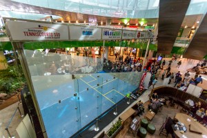 9c7a1095_26162715306_o